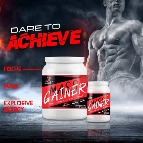 Mass Gainer - Image 2
