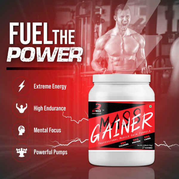 Mass Gainer - Image 3